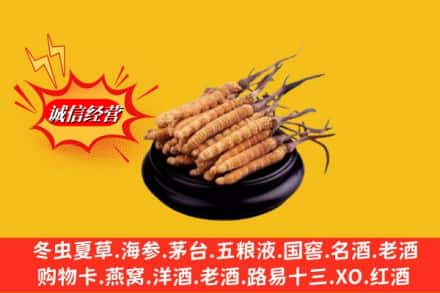 三亚市吉阳名酒回收冬虫夏草.jpg